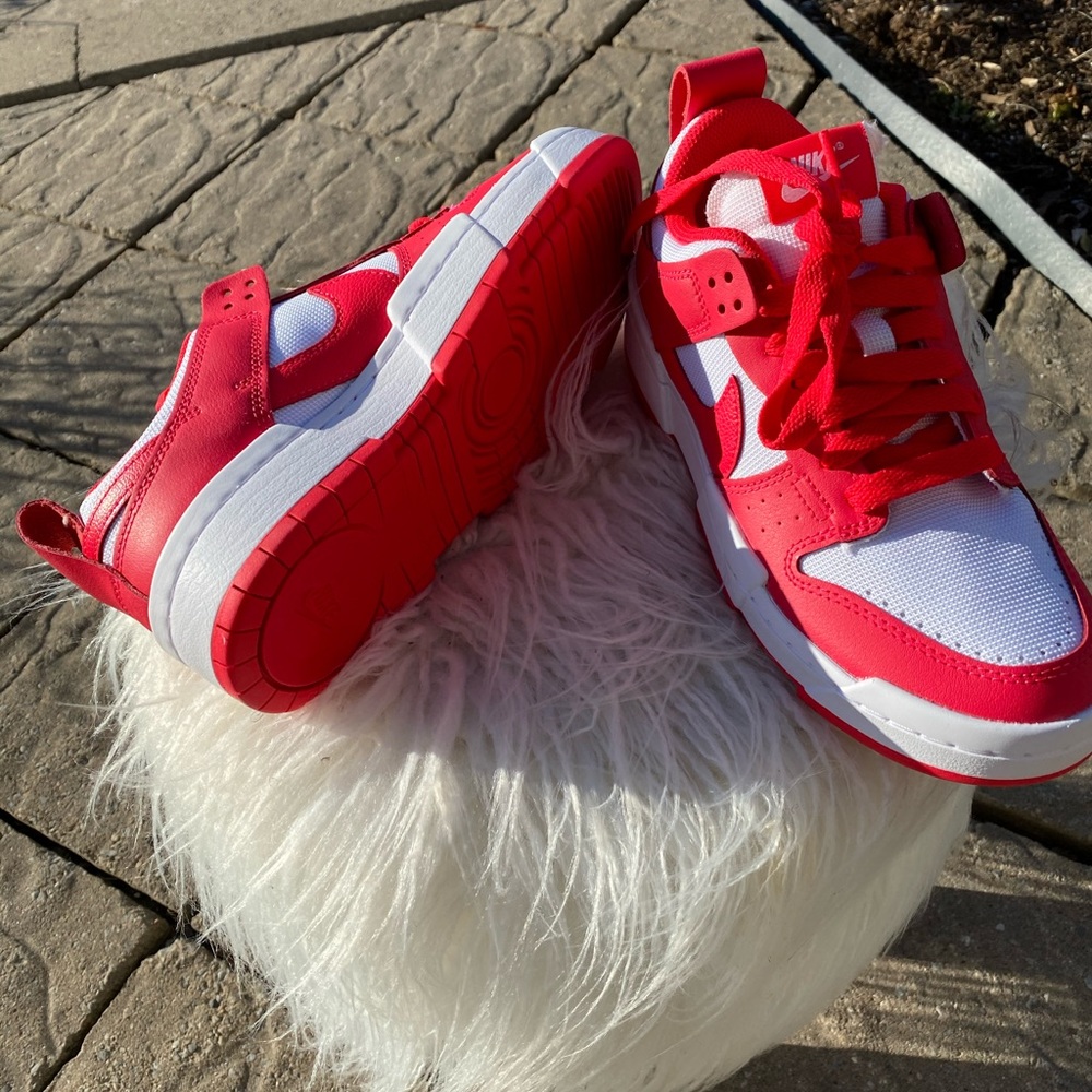 Nike dunknlow disrusp
